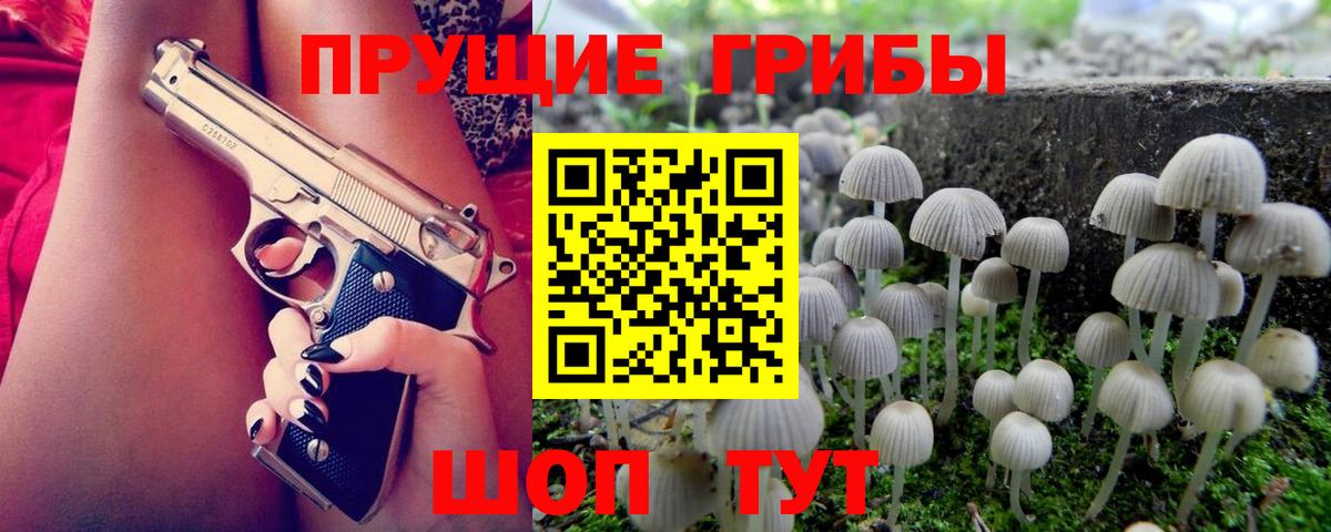 Галлюциногенные грибы Psilocybine cubensis Карталы